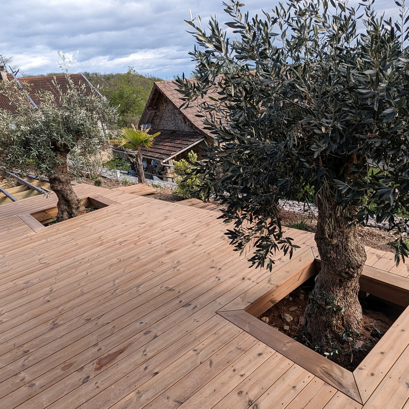 Terrasse en bois